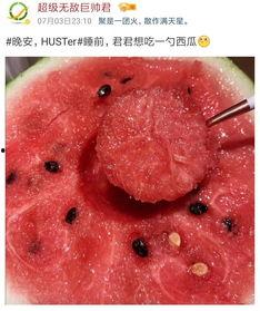 吃瓜功底,吃瓜群众深度解析