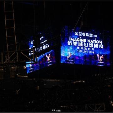 红馆官网首页,探索艺术盛宴的门户