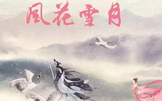 风花雪月 在线观看,浪漫邂逅，穿越时空的唯美传奇