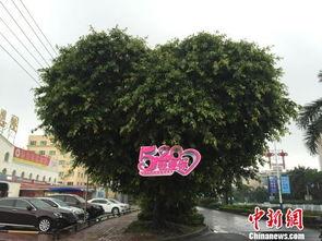 北海网红大喇叭,传递声音，点亮城市风采