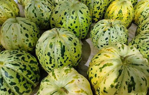 面瓜不能和什么吃,面瓜相克食物大盘点