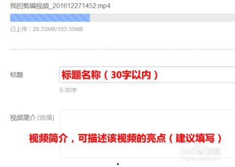 水泥桥今日头条视频,揭秘桥梁建设背后的科技与智慧