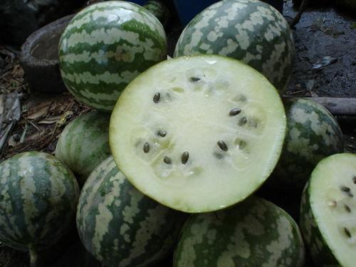 网上的瓜怎么吃,如何轻松应对网络八卦风云