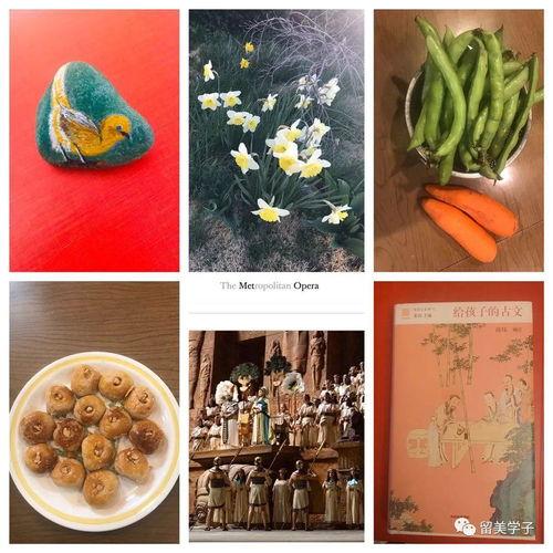 宝鸡疫情吃瓜,吃瓜群众视角下的防疫战