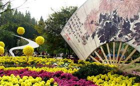 青岛中山公园头条文章,百年历史园林的绿色记忆与今朝风采