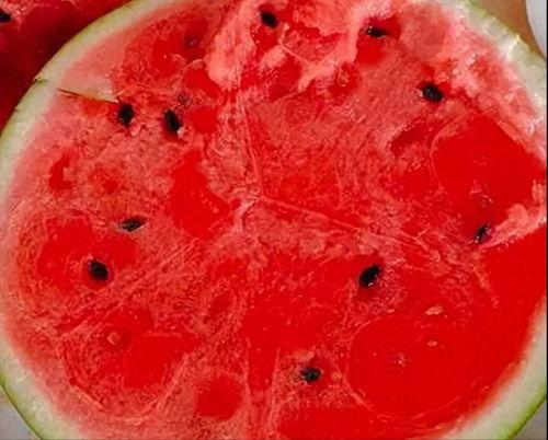 胃炎怎么吃秋癸瓜,秋葵瓜的养生之道