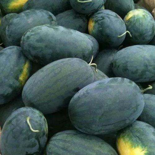 甜宝瓜吃哪里,揭秘最佳食用部位