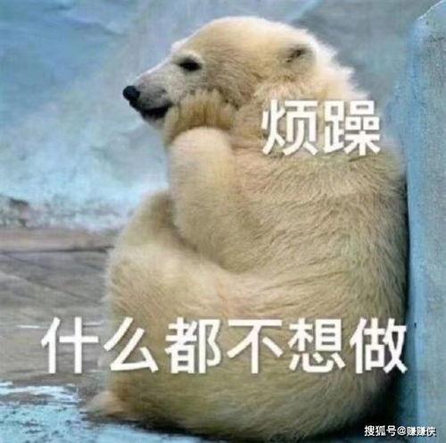 坚强的吃瓜群众图片,网络时代的独特现象