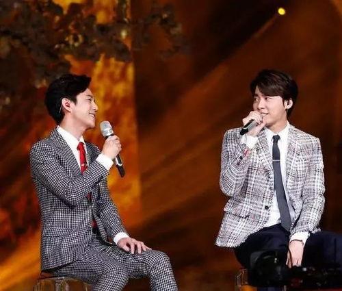 娱乐大爆料李易峰完整版,揭秘明星背后的故事与真相