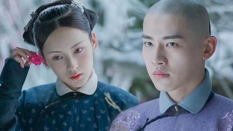 十三福晋是哪个明星,揭开明星背后的传奇人生