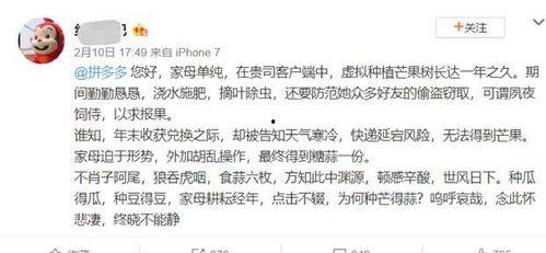 吃瓜群众文言字,吃瓜群众文言拾趣