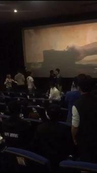 电影偶遇在线观看,一场跨越时空的浪漫邂逅