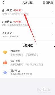 请问在头条怎么认证,轻松掌握账号认证步骤，提升内容权威性】