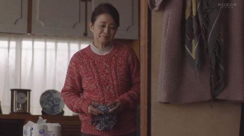 明星骂日本人生活,一场关于尊严与底线的较量