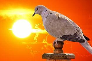 7月27日出生的明星