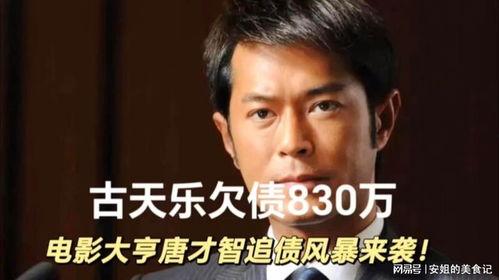 哪些明星欠债,揭秘欠债危机中的娱乐圈明星