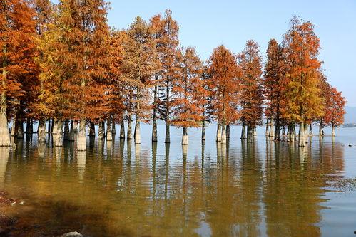 地明湖网红小视频,网红小视频带你领略湖光山色魅力
