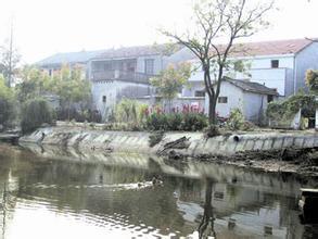 南宁水塘今日头条新闻,紧急救援行动展开