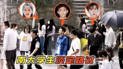 南大 明星遇冷,辉煌过后，现实如何？