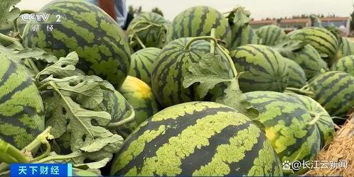 国风上观老师的瓜,瓜中窥见的文化韵味与时代变迁