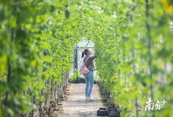 网红亲子照惠州博罗,温馨瞬间记录美好时光